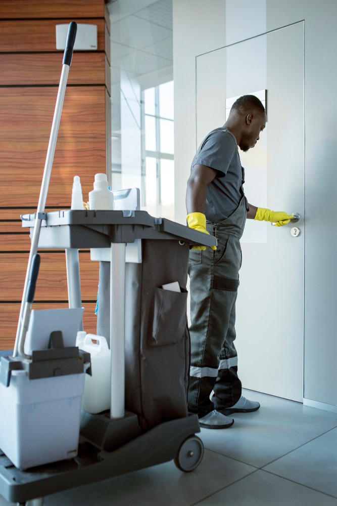 Professional cleaning services