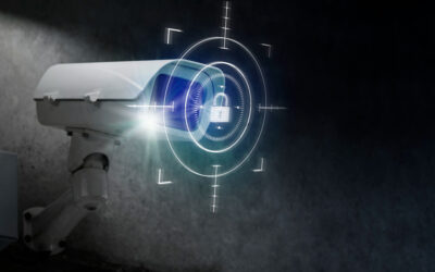 How Can South African Businesses Stop the 8% Rise in Commercial Crime?