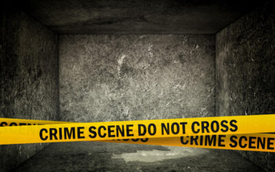 Which Areas in South Africa Need Security Most? 2026 Crime Data Reveals Shocking Trends