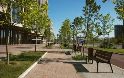 Are Gated Communities Really Safer?
